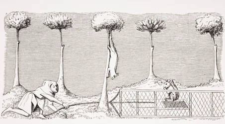 La forma de atrapar ardillas en el suelo en el bosque, después de una miniatura en el manuscrito del siglo XV de Phoebus, de 